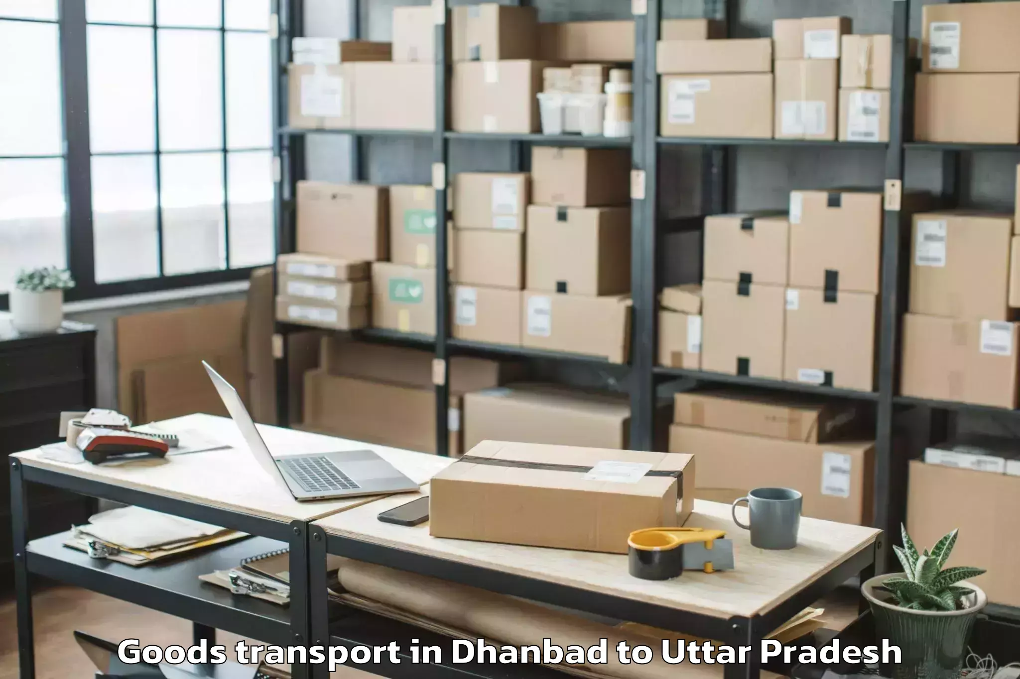 Book Dhanbad to Lakhna Goods Transport Online